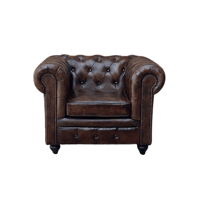 Vikinterio Samode Single Seater Sofa