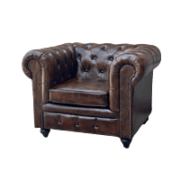 Vikinterio Samode Single Seater Sofa